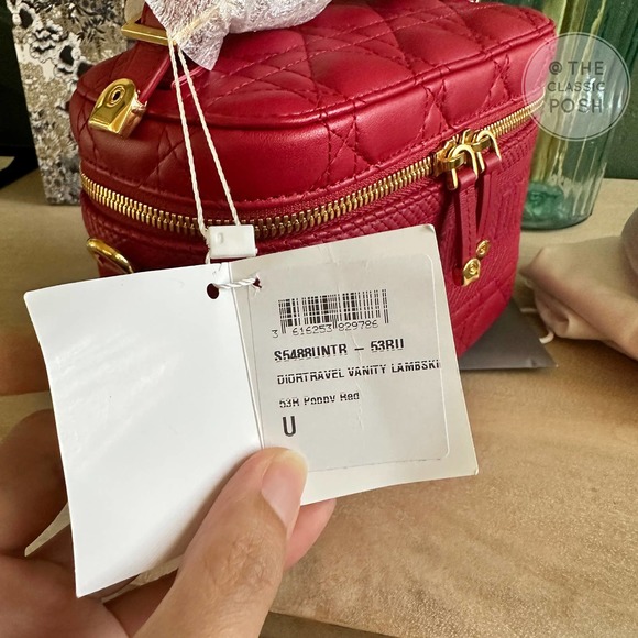 BNWT DIOR TRAVEL VANITY LAMBSKIN SMALL  LEATHER CROSSBODY BAG - Picture 10 of 12